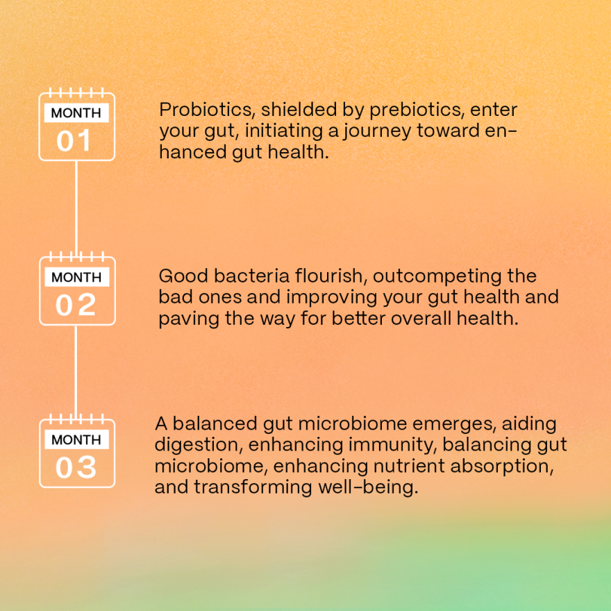 Gut Balance | Improves Gut Health