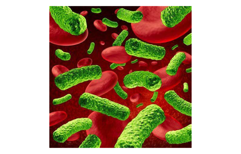 Lactobacillus reuteri Supplementation for Chronic Functional Constipation: Results from a Randomized Double-Blind Placebo-Controlled Trial