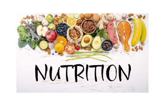 Establishing Standardized Nutrition and Dietetics Terminology: Insights from an Austrian Multicenter Analysis Using ICF-Dietetics
