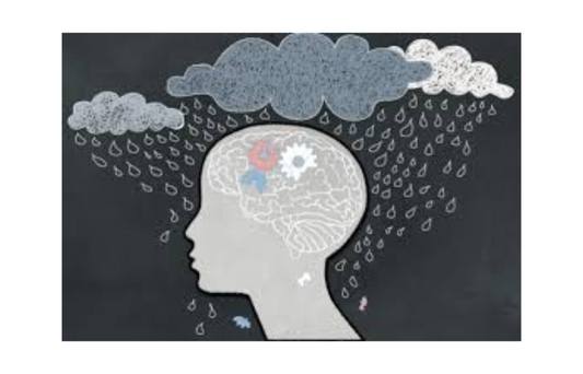 Probiotic Add-On Therapy for Depression: Clinical, Gut Microbial, and Neural Outcomes in a Randomized Controlled Trial