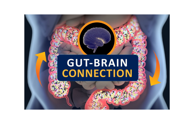 Acne Vulgaris and the Gut-Brain-Skin Axis: Probiotics as a Bridge from Anecdote to Translational Medicine