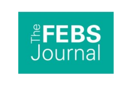 Investigating the Impact of Lactobacillus reuteri on Ergothioneine Levels in Humans