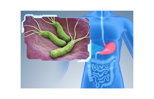 Lactobacillus reuteri ATCC 55730 in Helicobacter pylori Infection: A Pilot Study on Inhibition and Its Role in Eradication Therapy