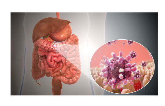Updated Insights: Systematic Review and Meta-Analysis on Lactobacillus rhamnosus GG for Acute Gastroenteritis Treatment in Children (2019)